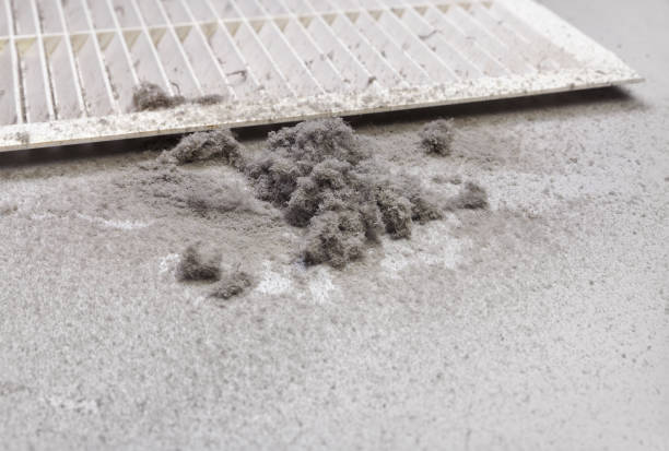 Best HVAC System Cleaning  in Tangent, OR